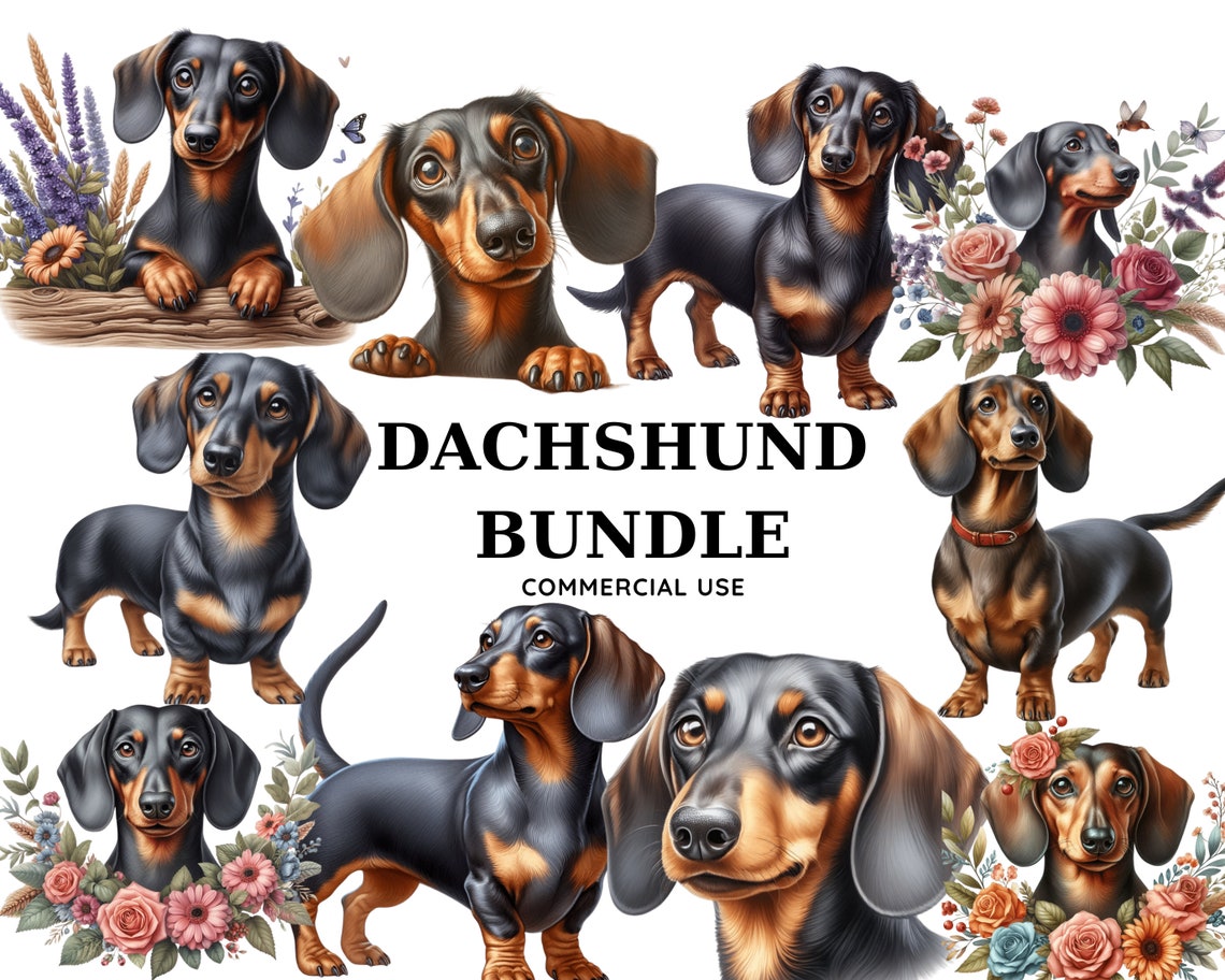 Dachshund Clipart Bundle
